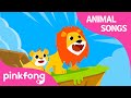 Lion Lessons Animal Songs Learn Animals Pinkfong Animal Songs For Children 