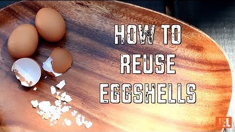 How to Reuse Eggshells | Green Your Life