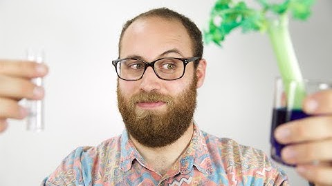 Moisture Wicking Clothing Explained