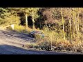 Cambrian Rally 2021 .Few overshoots