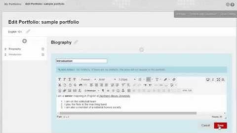 Adding Text to a Blackboard Portfolio