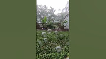 Insta360 X3 Waterproof Rain Test, Success!