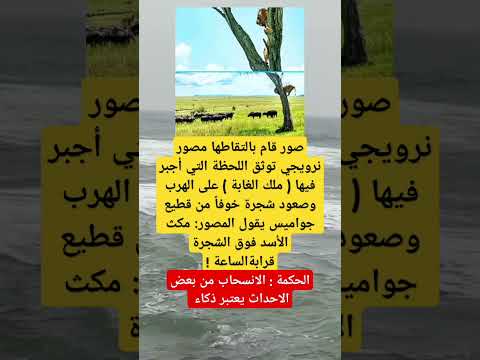 صور قام بالتقاطها مصور نرويجي توثق اللحظة اكسبلور فاكس معلومات في فايسبوك علم النفس لايك ترند