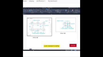 Lock viewport scaling