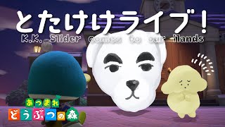 【あつ森】21日目 | とたけけライブ実現！ | 初見さん歓迎・雑談【 Vtuber #ぽた犬】