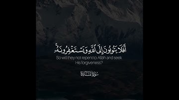 ﴿أفلا يتوبون إلى الله ويستغفرونه والله غفور رحيم﴾ | القارئ: راشد الحليبة