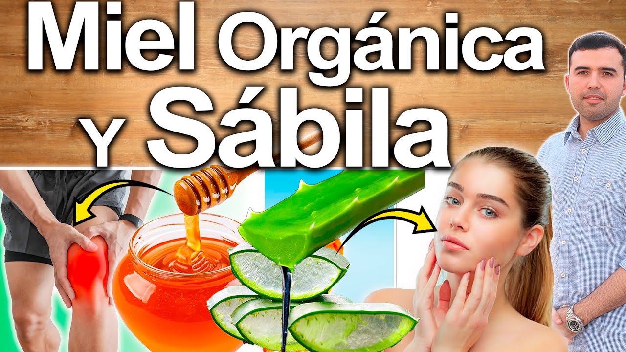 Miel Y Aloe Vera - Para Qué Sirve? Beneficios De La Sábila Para Tu