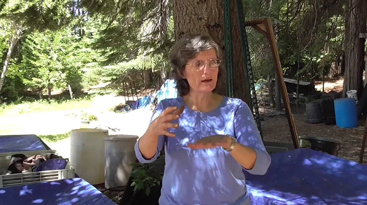 Elaine Ingham on Molasses in your Compost Tea? How...