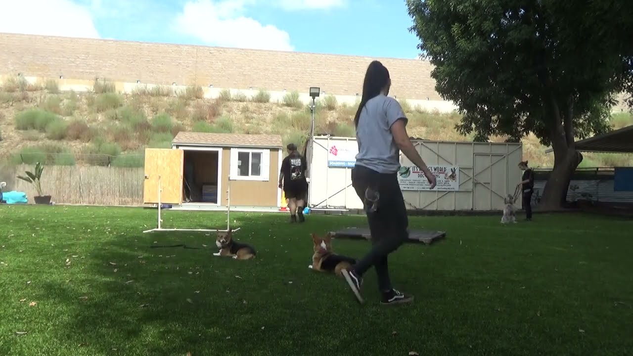 Mango and Katy Cepeda with trainers Delaney and Danielle