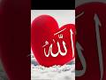 Allah #viral#love ♥️♥️♥️♥️