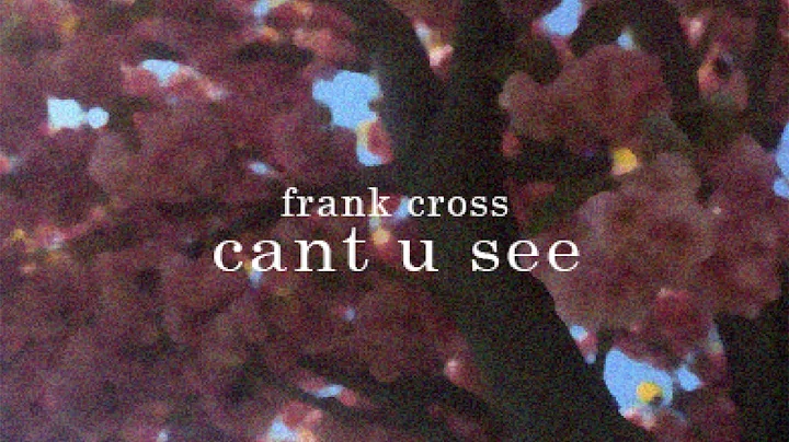 Frank Cross - Cant u see