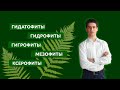 ДЛЯ ЕГЭ: ГИДАТОФИТЫ ГИДРОФИТЫ ГИГРОФИТЫ МЕЗОФИТЫ И КСЕРОФИТЫ