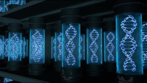 How to store all of the world