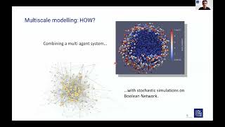 Webinar: Multiscale model of the different modes of cancer cell invasion: a PhysiBoSS application