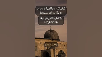 ﴿ يَا أَيُّهَا الَّذِينَ آمَنُوا أَطِيعُوا اللَّهَ وَرَسُولَهُ﴾♡سورة الأنفال - Al-Anfal#المنشاوي