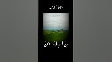 #تلاوات #تلاوة_خاشعة #راحة_نفسية #المنشاوي #قرآن #قرآن_كريم