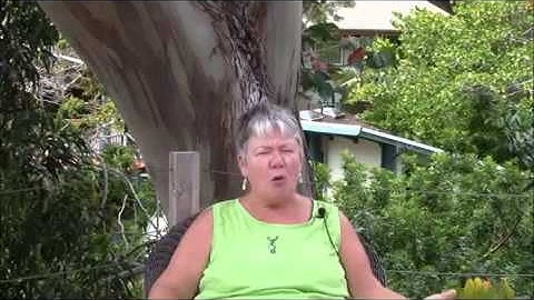 Liberation Unleashed   Video and Audio2