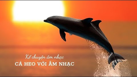 Cá heo với âm nhạc (HS kể chuyện theo video)Lớp 3 | School Music Tramdi