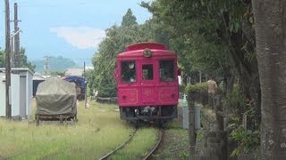 ピンク塗装で復興アピール 熊本の南阿蘇鉄道