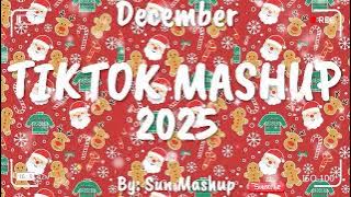 Tiktok Mashup December 💖2025💖 (Not Clean)