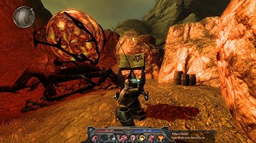 Divinity II: Developer