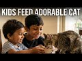 See Kabir and Mira feed a adorable cat
