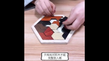Hexagonal Wooden Puzzle