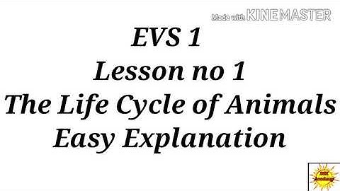 Std 4 EVS 1 Ch no .1 The Life Cycle of Animals... with easy explanation