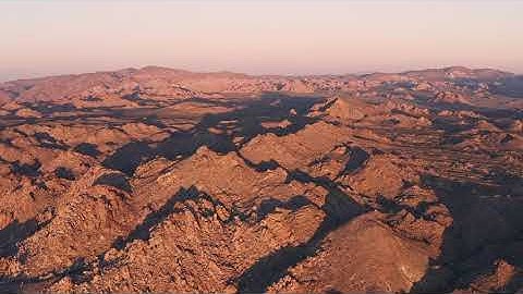 Joshua Tree Drone