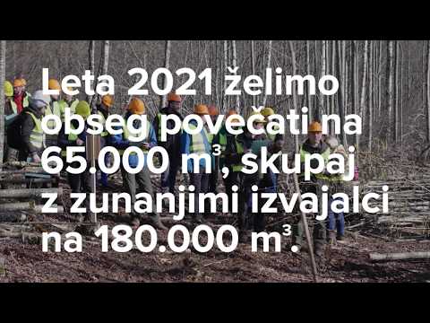 Video: Pregled Zgodnjega Dostopa Do Gozdov