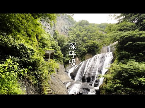 LOOP CHILD - 深呼吸（Official Video）