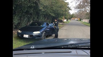 Daytime burglary. The Squatters go down.