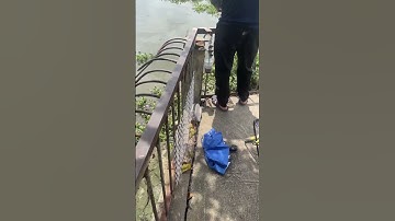 ✅BÃI CÂU CÁ THIÊN NHIÊN CHO A E .SÔNG SÀI GÒN