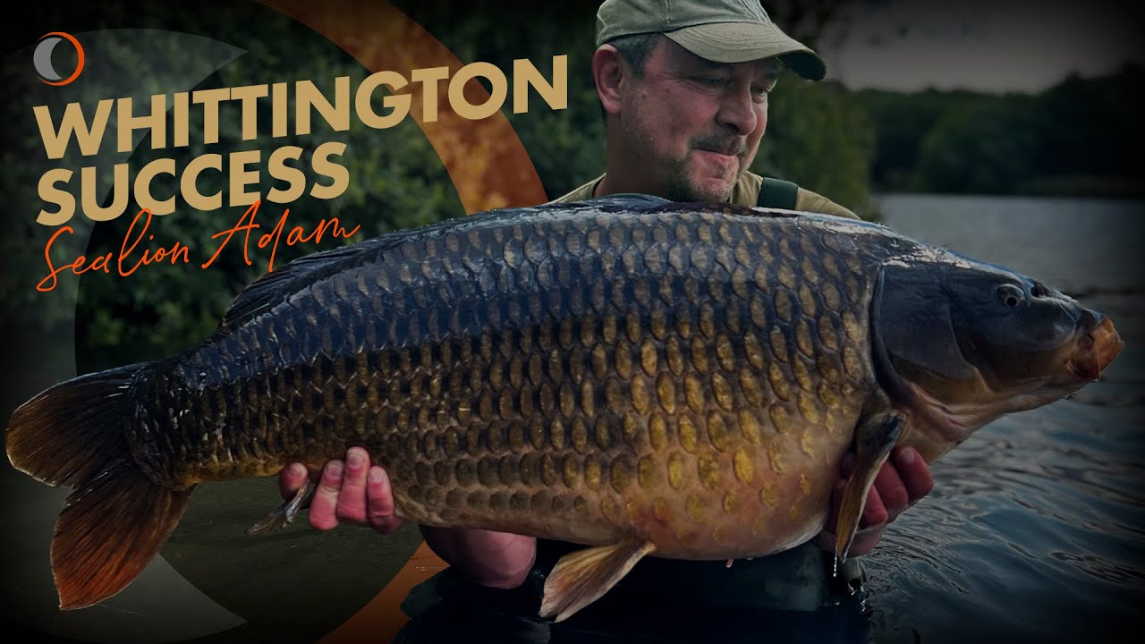 Адам Уиттингтон — Успех!