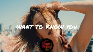 Ste - Want To Know You (Lyric Video)