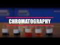 How To Do A Chromatography Experiment? (BBC Bitesize KS3 Chemistry)