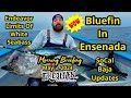 Bluefin tuna taken by ensenada pangas limits of white seabass giant coronado islands yellowtail