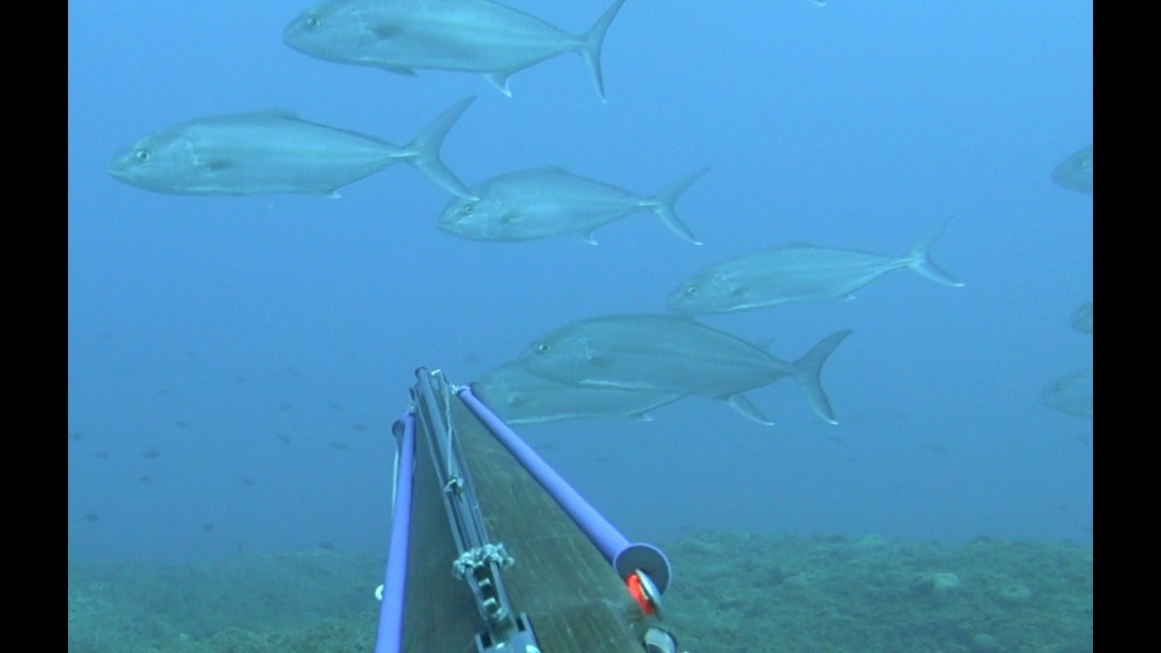 Χειμερινά πλάνα