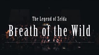 Breath of the Wild - Legend of Zelda: The History of Hyrule