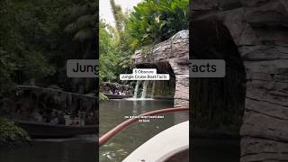 5 Obscure Jungle Cruise Boat Facts