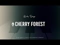 Lucky Daye Cherry Forest Piano Karaoke Inst mp3