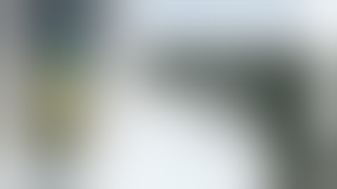 AlansFirearms: Sig P239 DAK  Basics, Field Strip, Clean, Lube, and Reassemble