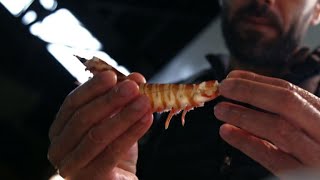 Tsukiji, bien plus que du poisson, se souvient un chef étoilé
