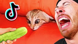 FUNNIEST Animal TikToks On The Internet!