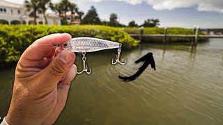 TINY LURE CATCHES EVERY FISH! Better Than the MIRRODINE!?
