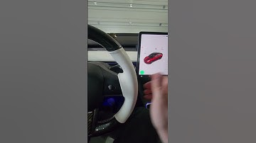 Teala Voice Commands In Different Languages 🤯