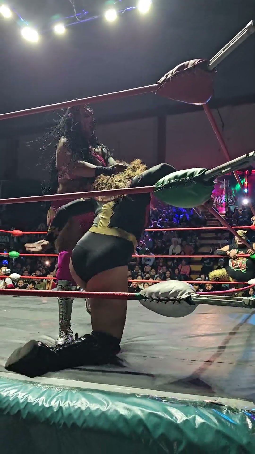 Hija de Gatúbela vs Estrellita Mágica en la Arena Neza