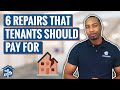 6 Repairs that Tenants Should pay for |  Landlord Tips