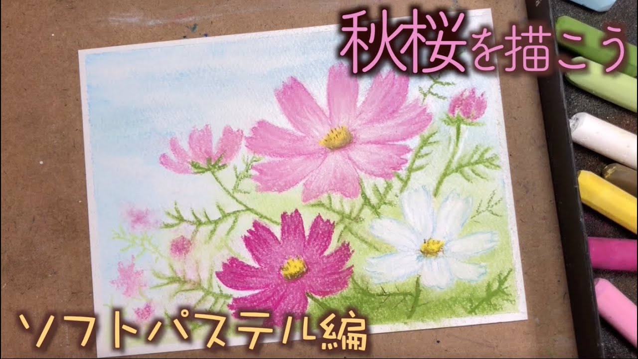 秋アート パステルのコスモスの描き方 How To Draw Cosmos Flowers With Soft Pastels Youtube