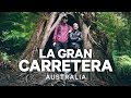 LA GRAN CARRETERA: KOALAS, BOSQUES Y ACANTILADOS